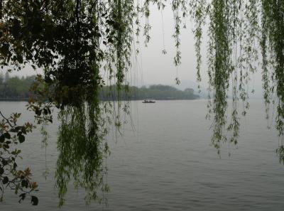 P4035899 16569101705 O