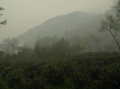 P4046118 16381626080 O