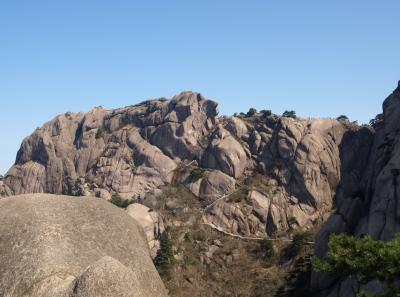 P4066187 15946518554 O