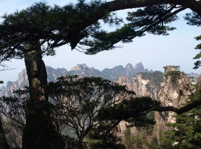 P4066224 16567980992 O