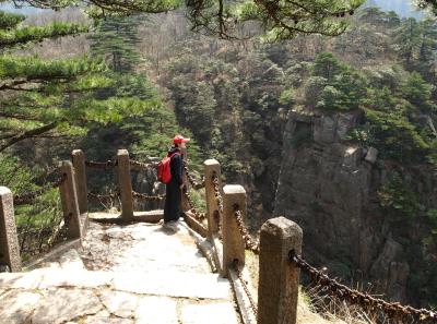 P4066246 16569119015 O