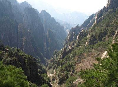 P4066248 16381429548 O