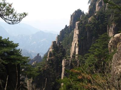 P4066263 15946528904 O