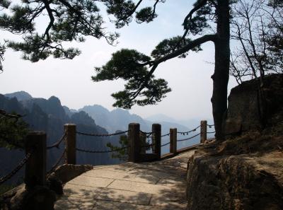 P4066264 16381641960 O