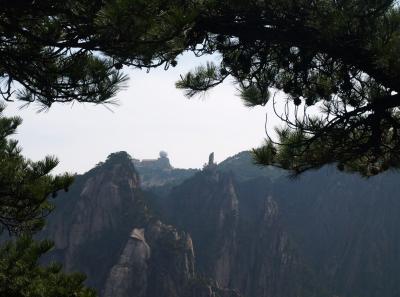 P4066282 15946534324 O