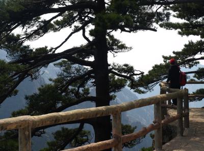 P4066284 16383176117 O