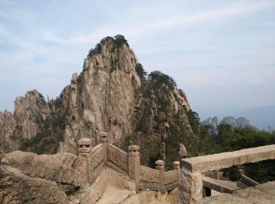 P4066335 15946539554 O