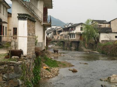 P4076415 16567450871 O