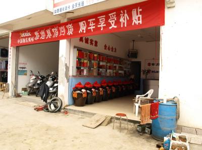 P4076450 16381446568 O