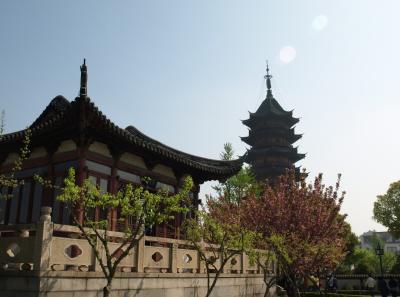 P4116819 16382833009 O