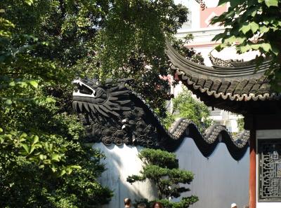 Pa154596 50945293387 O