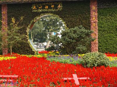 Pa164665 50945295312 O