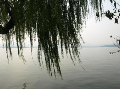 Pa164670 50944497488 O