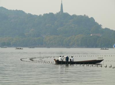 Pa164679 50944498128 O