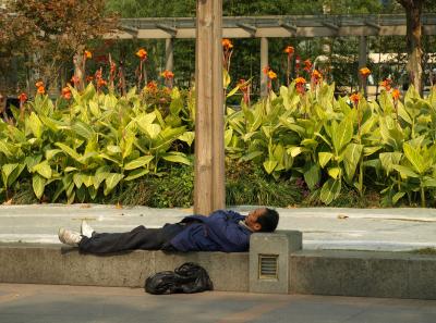 Pa164680 50945297292 O