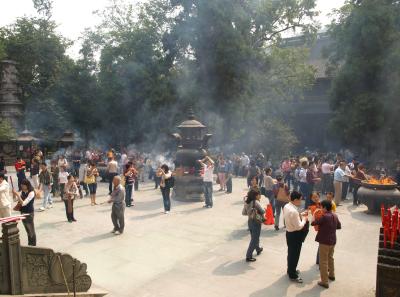 Pa174795 50945299292 O