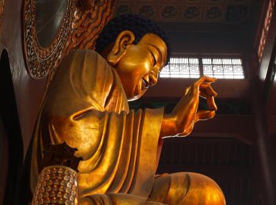 Pa174796 50945299267 O