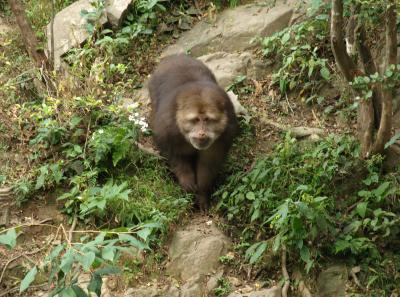 Pa184872 50945198061 O