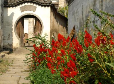 Pa194951 50945302582 O