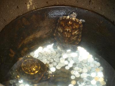 Pa194967 50945303022 O