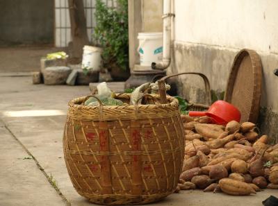 Pa194970 50944504788 O