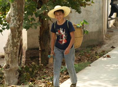 Pa194988 50945304277 O