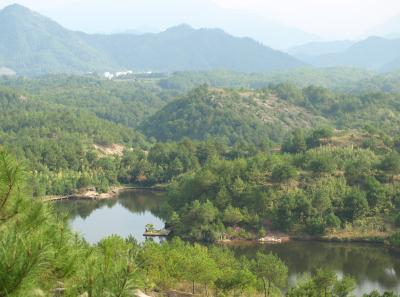 Pa195030 50945304857 O