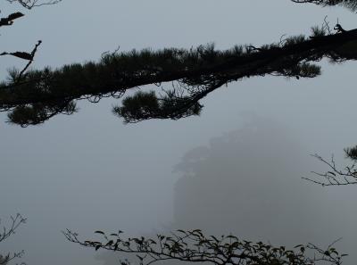 Pa205041 50944506438 O