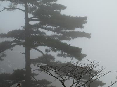 Pa205042 50944506468 O