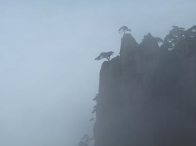 Pa205044 50945305062 O