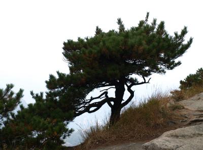 Pa205096 50945202776 O