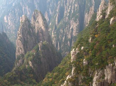 Pa205139 50945306077 O