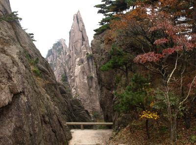 Pa205141 50945306412 O