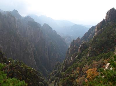 Pa205159 50945204676 O