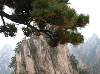 Pa205179 50945205156 O