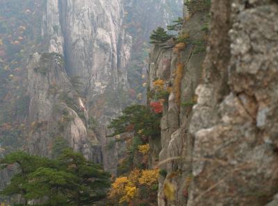 Pa205181 50945205151 O