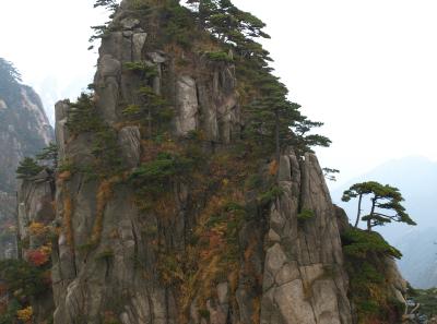 Pa205186 50944509408 O