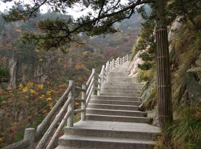 Pa205209 50944510048 O