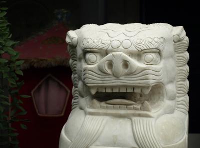 Pa235293 50944511198 O