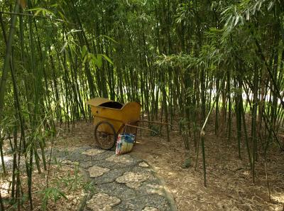 Pa245385 50945208131 O