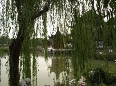 Pa245420 50945311902 O