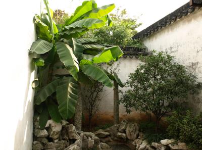 Pa245450 50945209206 O