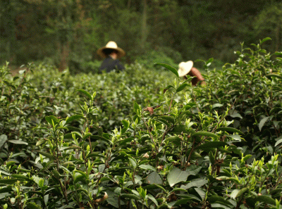 China2008 27s 16456088202 O