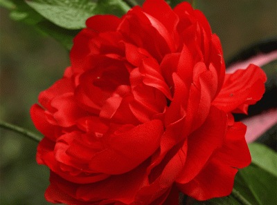 China2008 29s 15836962543 O