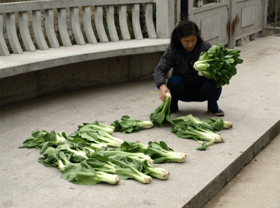 China2008 30s 15834507824 O