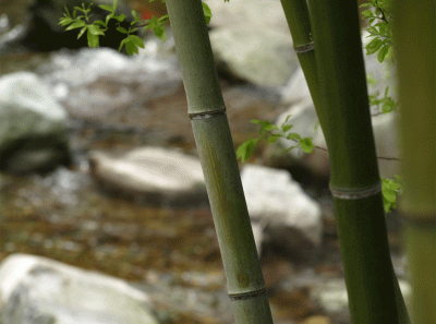 China2008 37s 16456093912 O