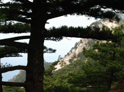 China2008 45s 16269343618 O