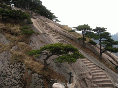 China2008 48s 16269612040 O