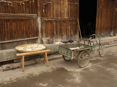 China2008 51s 15834521114 O