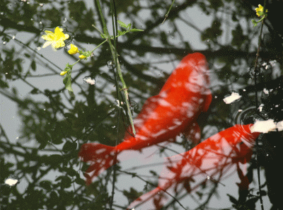 China2008 64s 16269624200 O